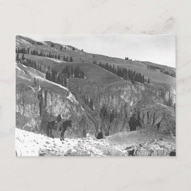 Cartão Postal Cowboy separado de sua manada. (Frente)