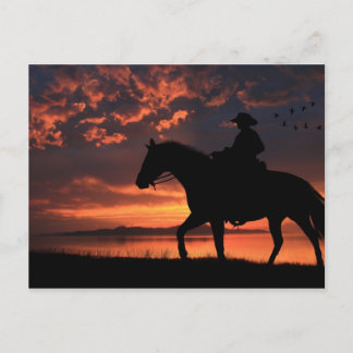 Cartão Postal Cowboy Sunset
