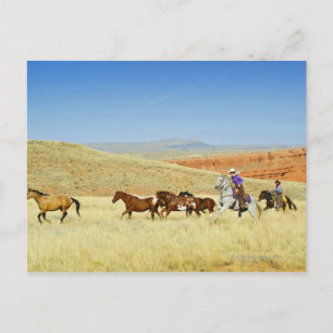 Cartão Postal Cowboys pairando cavalos