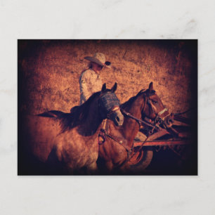 Cartão Postal Cowgirl