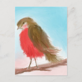 Cartão Postal Coy Robin Postcard
