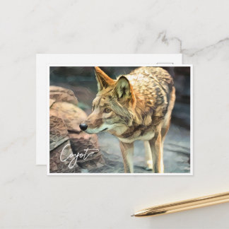 Cartão Postal Coyote ポストカード