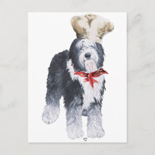 Cartão Postal Cozinheiro de Amor Old English Sheepdog