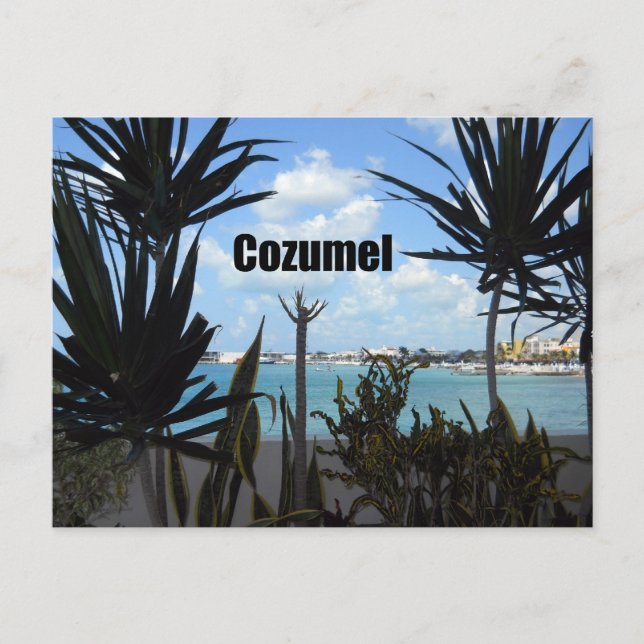 Cartão Postal Cozumel (Frente)