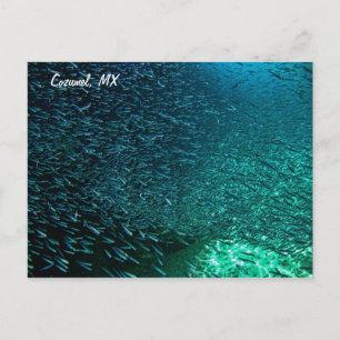 Cartão Postal Cozumel México