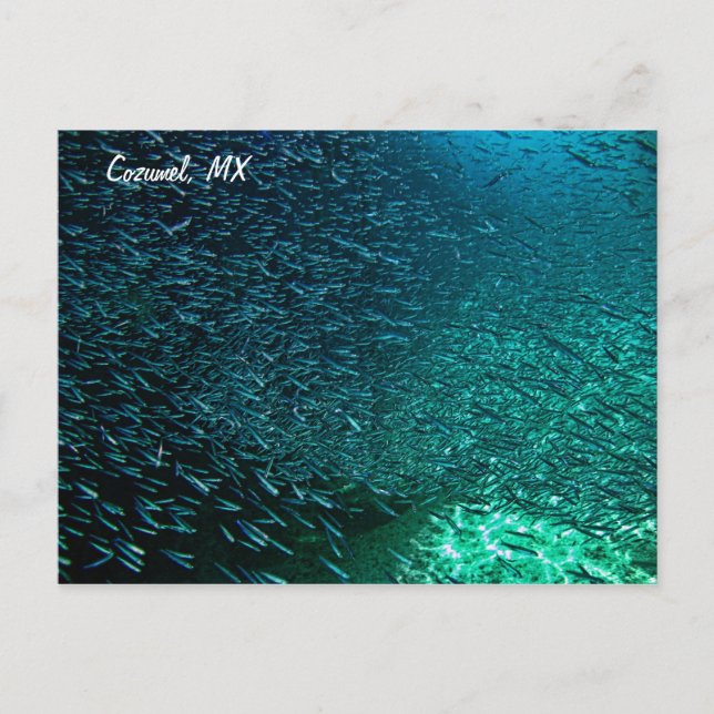 Cartão Postal Cozumel México (Frente)