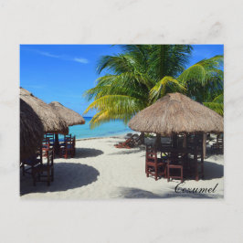 Cartão Postal Cozumel Mexico Beach Hut Palm Tree Water Vaca