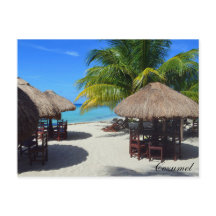 Cozumel Mexico Beach Hut Palm Tree Water Vaca