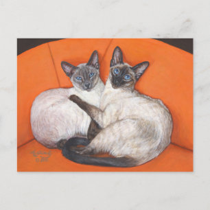 Cartão Postal Cozy Casal Siamese Cat