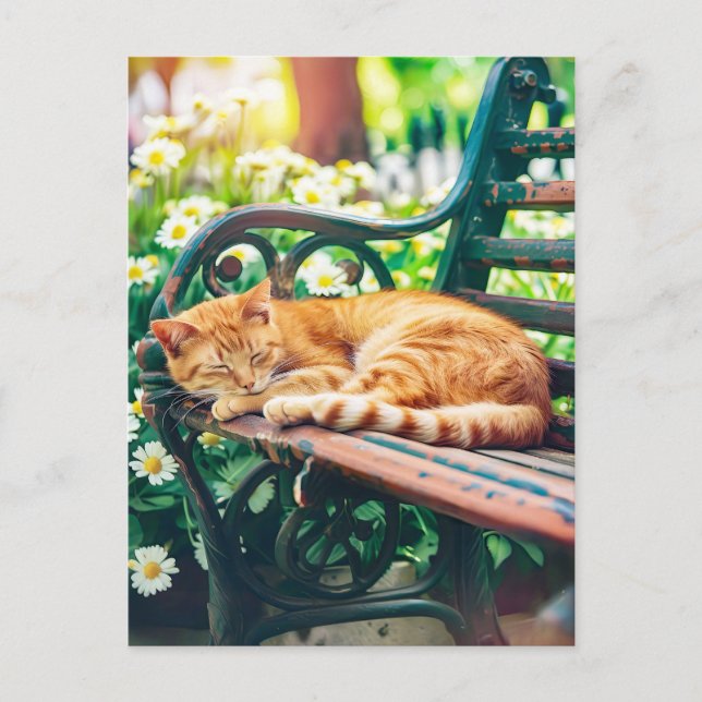 Cartão Postal Cozy Cat Sleeping in Garden on Bench (Frente)