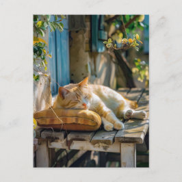 Cartão Postal Cozy Cat Sleeping in Garden on Bench