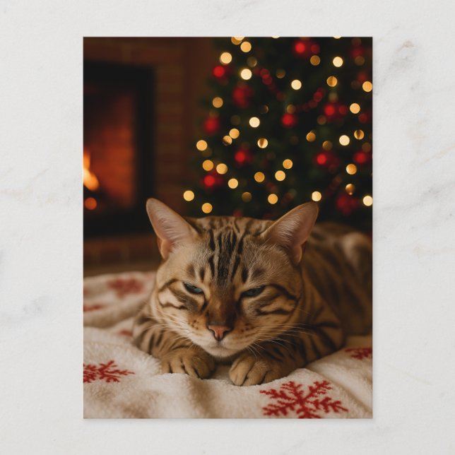 Cartão Postal Cozy Christmas Cat Postcard Bengal Cat Fireplace (Frente)