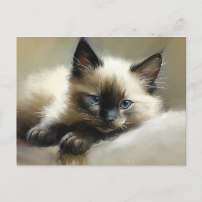 Cartão Postal Cozy Companion Siamese Kitten (Frente)