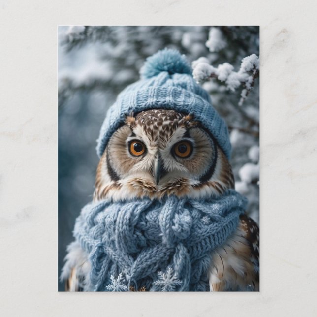 Cartão Postal Cozy Whimsical Winter Wonderland Owl (Frente)