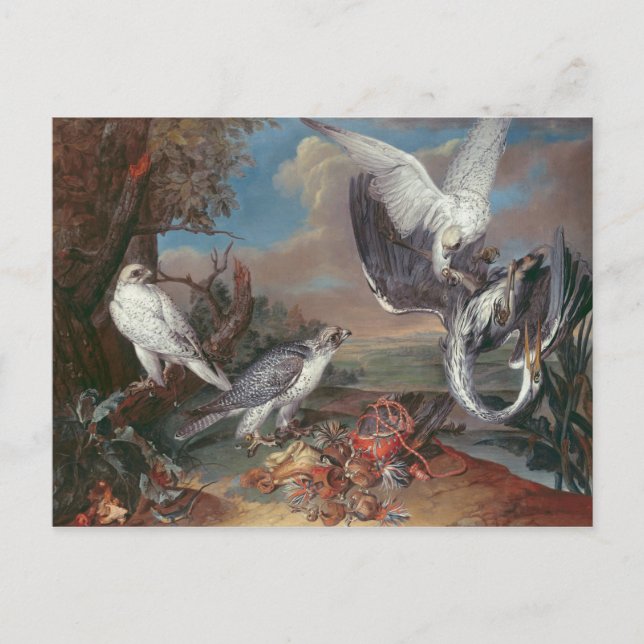 Cartão Postal Cr. Falcões da Gronelândia (Frente)