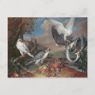 Cartão Postal Cr. Falcões da Gronelândia