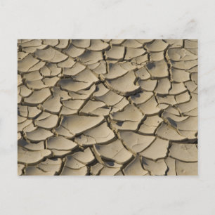 Cartão Postal Cracked Mud formation in the Valley floor of