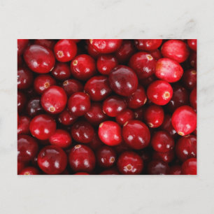 Cartão Postal Cranberries