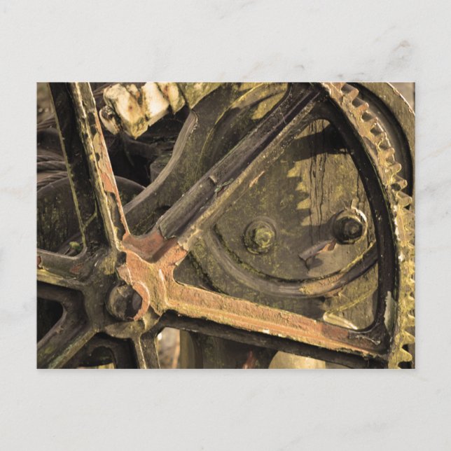 Cartão Postal Crane Esquecida (Frente)