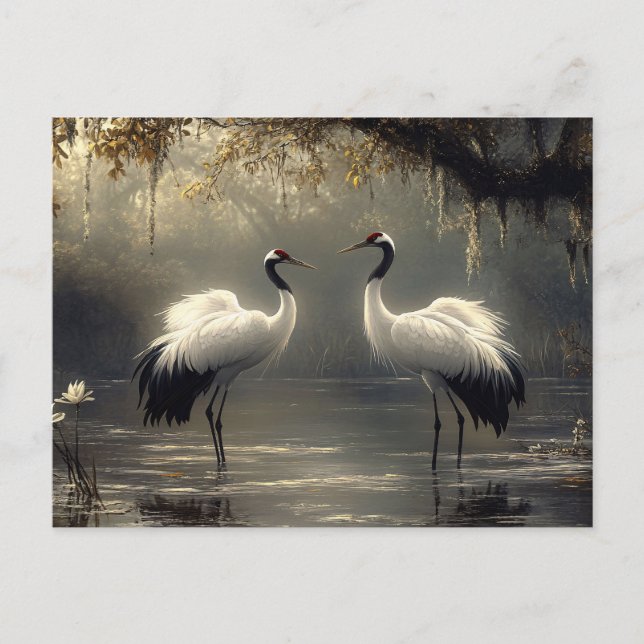Cartão Postal Crane Pair em um Misty Marsh (Frente)