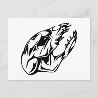 Cartão Postal Crânio animal