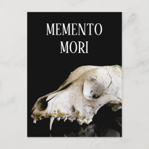 Cartão Postal Crânio animal