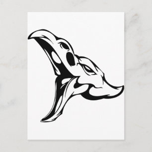 Cartão Postal Crânio animal