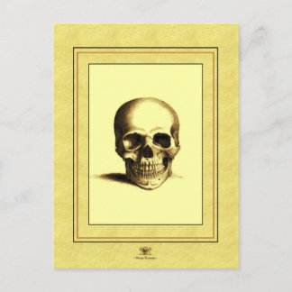 Cartão Postal Crânio antigo