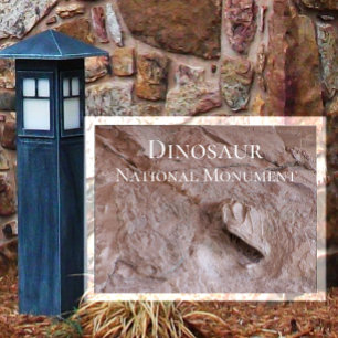 Cartão Postal Crânio De Camarassauro, Esqueleto, Ntl De Dinossau