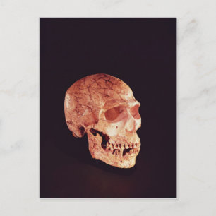 Cartão Postal Crânio de Neandertal, descoberto no Monte Carmelo