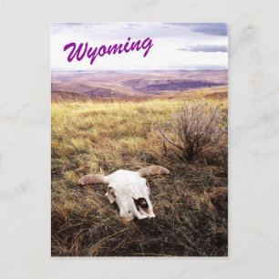 Cartão Postal Crânio de vaca em Wyoming rural