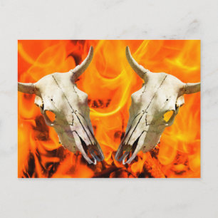 Cartão Postal Crânio e fogo da vaca
