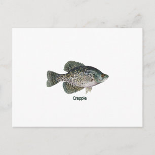 Cartão Postal Crappie (com título)