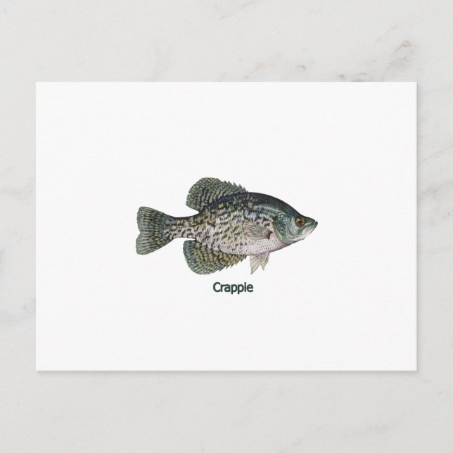 Cartão Postal Crappie (com título) (Frente)