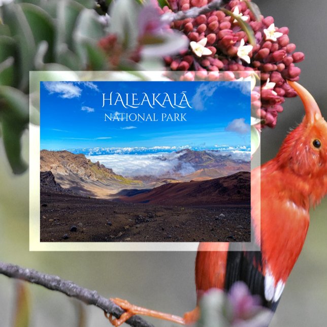 Cartão Postal Cratera de Haleakala, Cúpula, Parque Nacional de H (Criador carregado)
