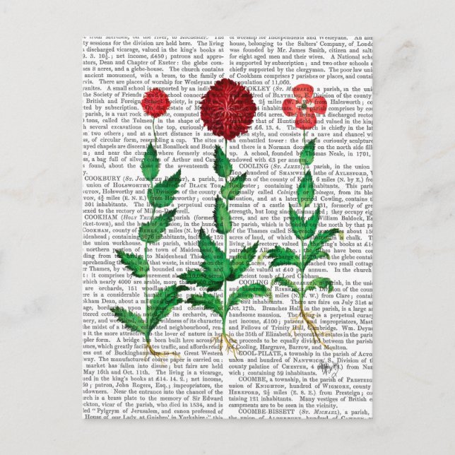 Cartão Postal Cravo italiano 2 (Frente)