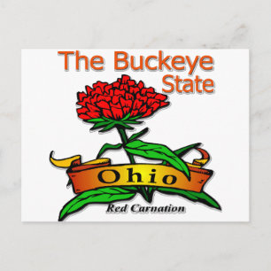 Cartão Postal Cravo Vermelho do Estado de Ohio Buckeye