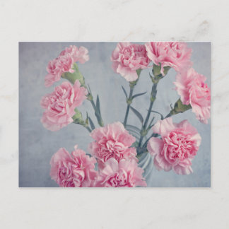 Cartão Postal Cravos Rosa