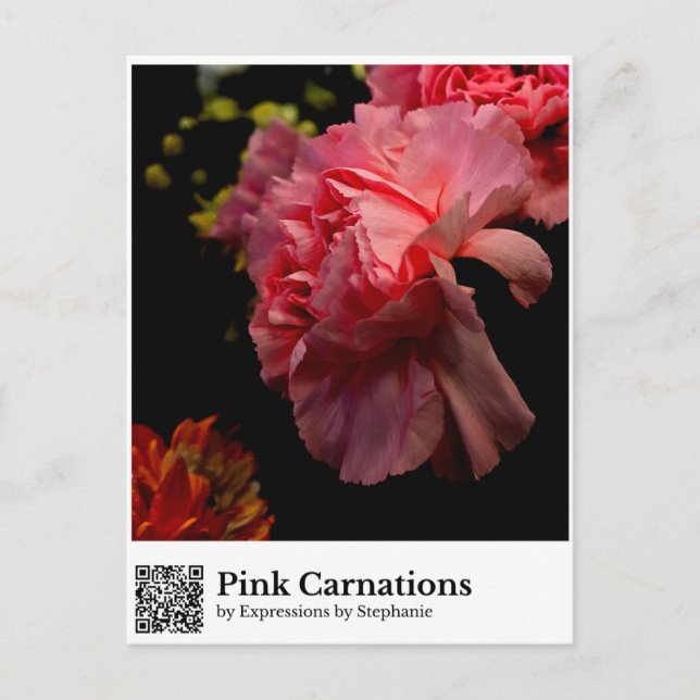 Cartão Postal Cravos Rosa (Frente)