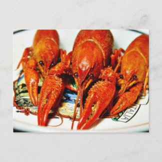 Cartão Postal Crawfish Crawads Craytfish