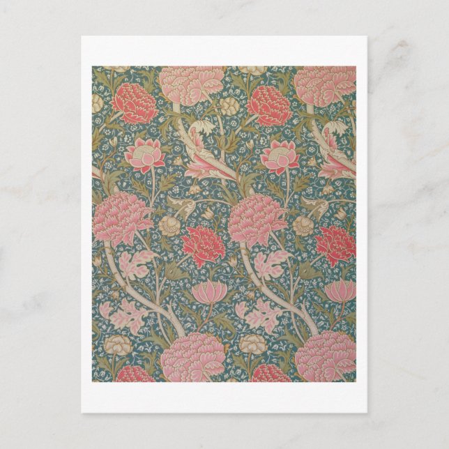 Cartão Postal "Cray", 1884 (Frente)