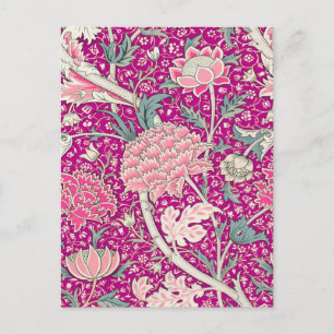 Cartão Postal Cray in Pink