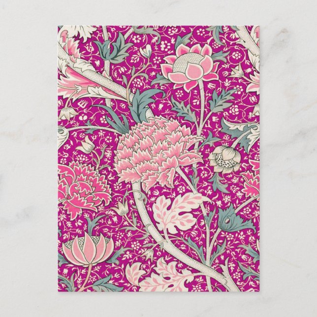 Cartão Postal Cray in Pink (Frente)