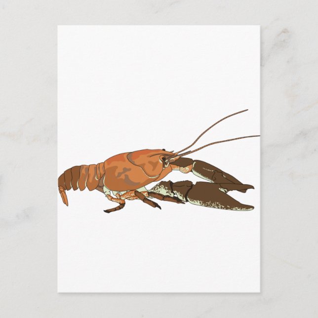 Cartão Postal Crayfish/Crawdad Realista (Frente)