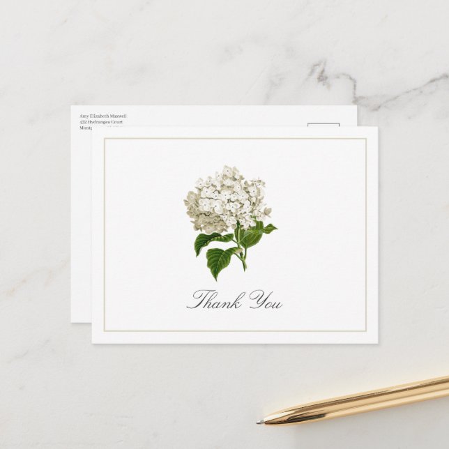 Cartão Postal Cream White Hydrangea Bloom Traditional Thank You (Frente/Verso In Situ)