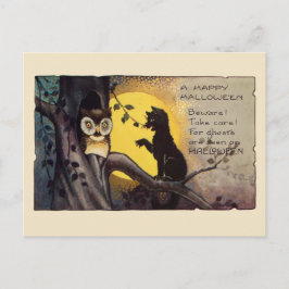 Cartão Postal Creme Gato Vintage Aviso Coruja Assustador Hallowe