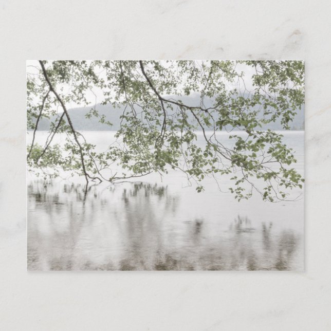 Cartão Postal Crescente lago | Parque Nacional da Olimpiadas, WA (Frente)