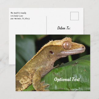 Cartão Postal Crested Gecko em folha