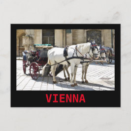 Cartão Postal Criador de Viena com Cavalos Brancos - Cartão-post