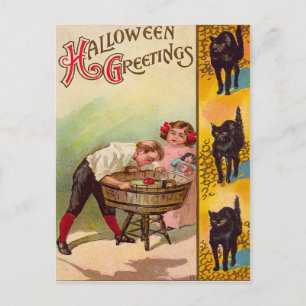 Cartão Postal Crianças Catando Maçãs Gato Preto
